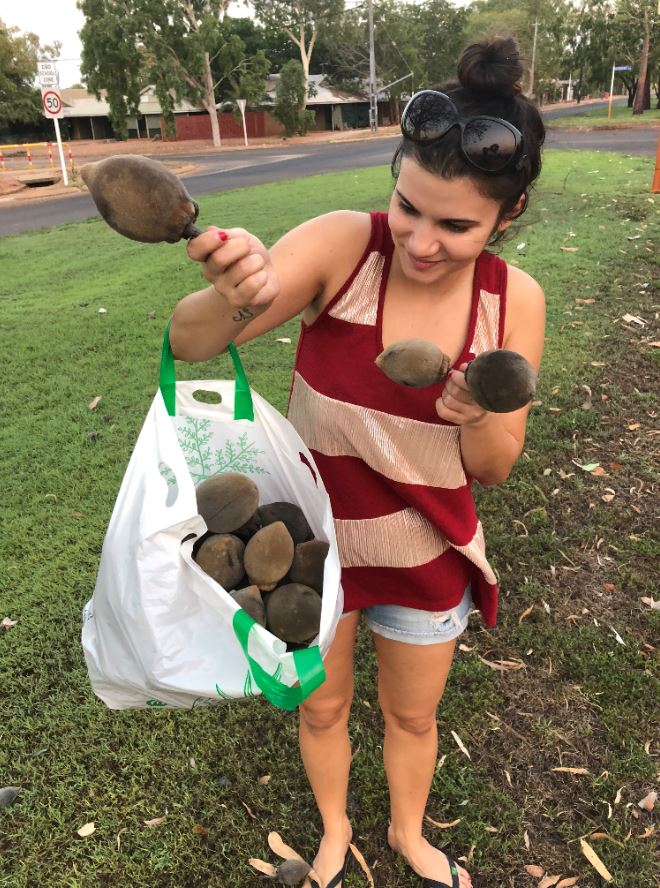 Eleni in Derby, WA, with nuts from a boab tree. She collected many to paint with the children and hang as Christmas baubles